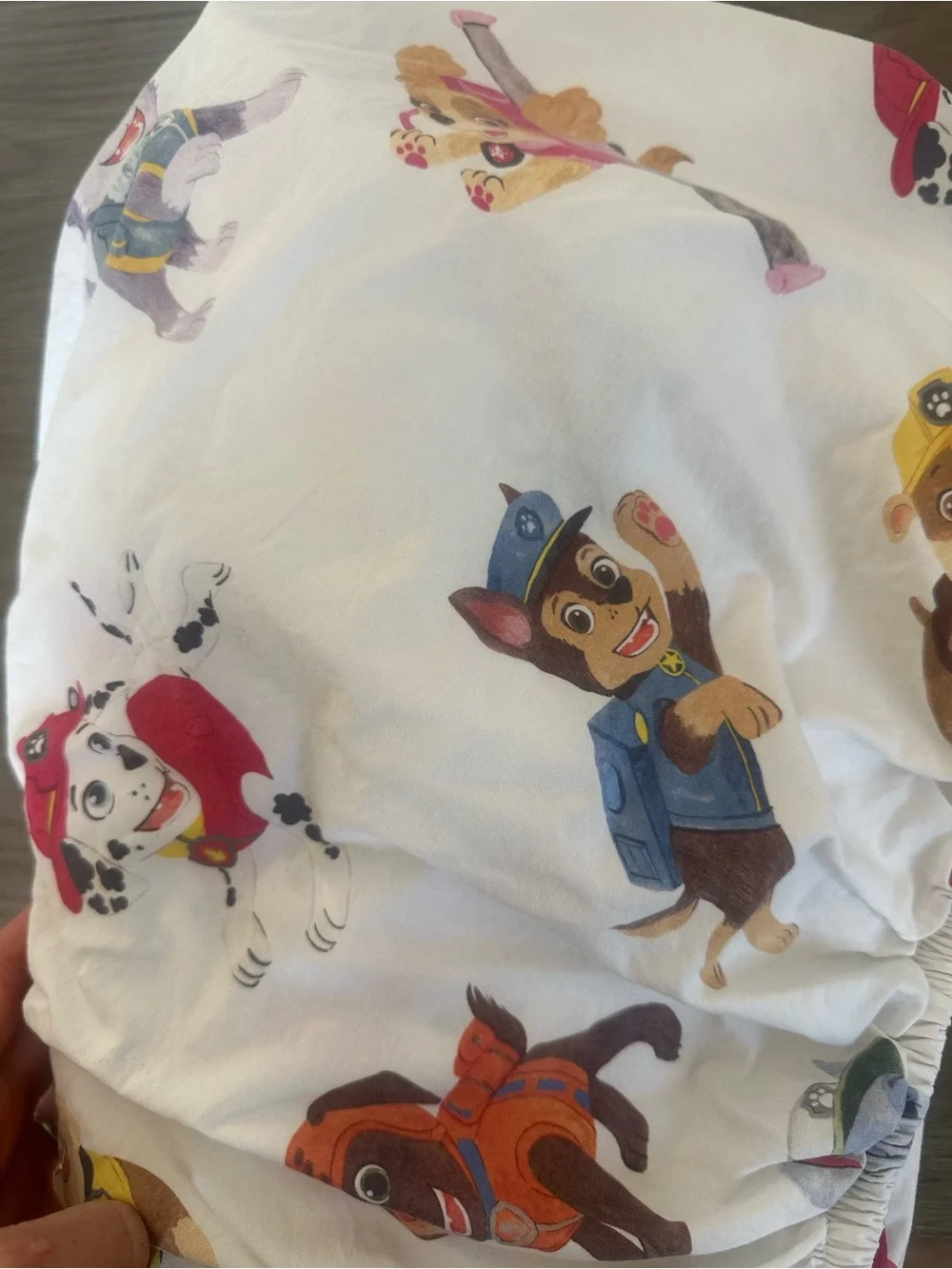 Pottery barn Kids Paw Patrol Organic Cotton Kids Sheet Set - full